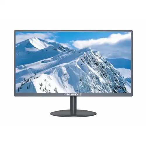 Gigasonic RB-G19S-300CVH 19-inch HD LED Monitor
