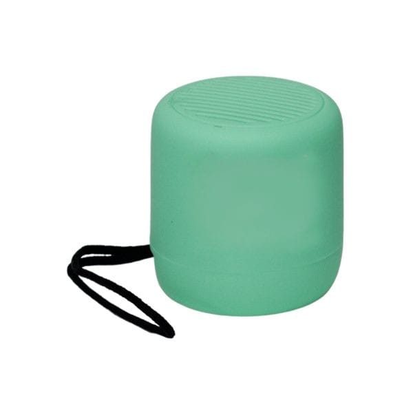 GREATNICE GTS-1675 Bluetooth Portable Speaker